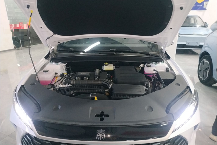 比亚迪 秦PLUS 2025款 DM-i 智驾版 128KM进取型机舱底盘24