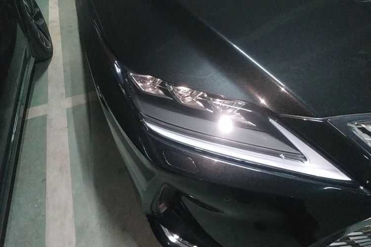 雷克萨斯RX 2021款 300 四驱特别版车身外观8