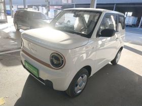 吉利银河 2024款 熊猫mini 200km 耐力熊