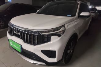 起亚 智跑 2021款 Ace 2.0L 精彩版