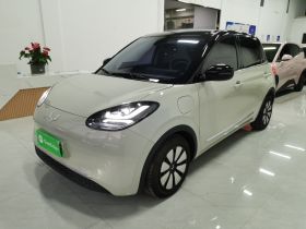 五菱汽车 五菱缤果 2023款 333km 悦享+款