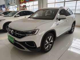 大众 探岳 2023款 300TSI 两驱豪华Plus进阶版