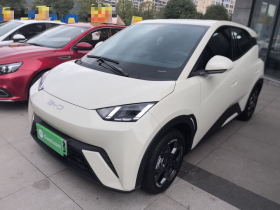 比亚迪 海鸥 2025款 305km 自由版