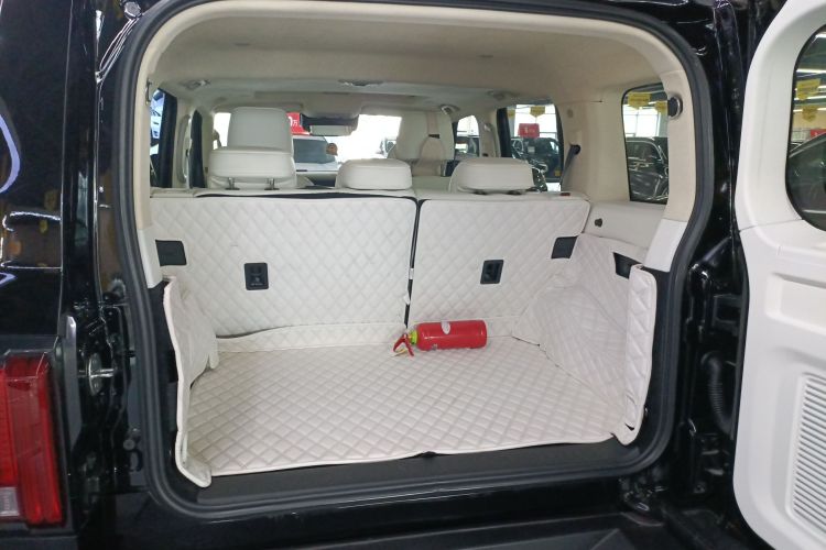 坦克300 2024款 2.0T 穿越者机舱底盘23