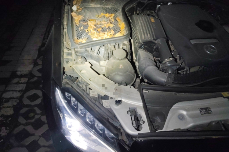 奔驰C级 2018款 C 180 L 时尚型运动版局部细节9006