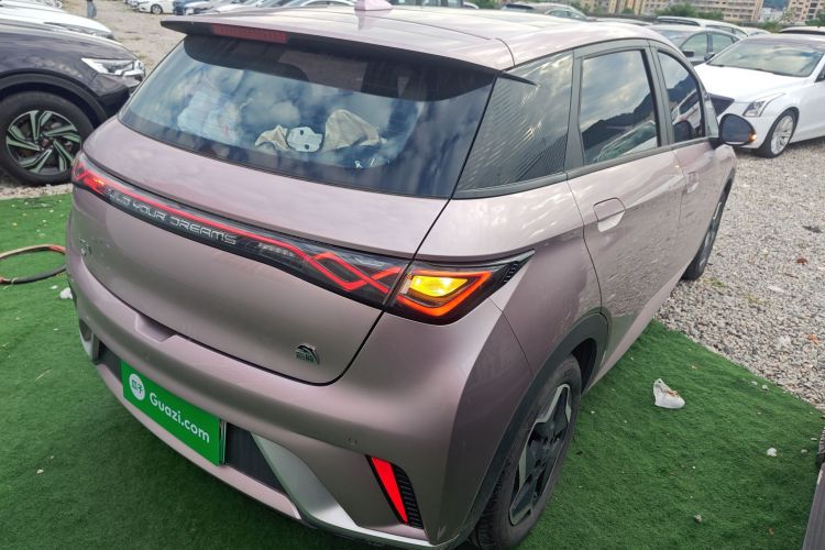 比亚迪 海豚 2021款 405km 时尚版车身外观7