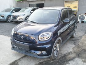 零跑汽车 零跑T03 2021款 400轻享版 三元锂