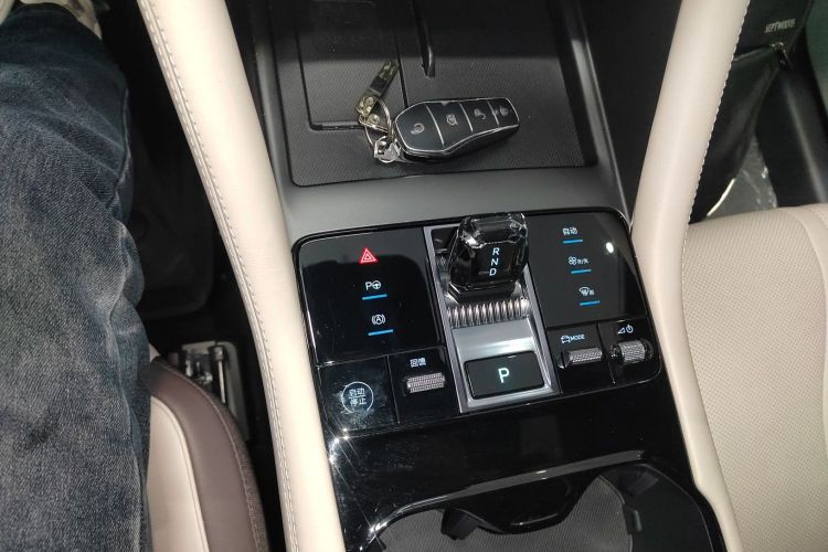 比亚迪 宋PLUS新能源 2025款 EV 智驾版 520km 尊贵型局部细节18