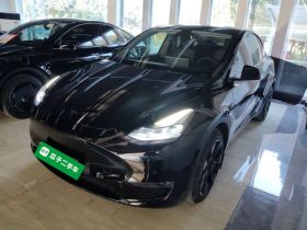 特斯拉 Model Y 2021款 长续航全轮驱动版