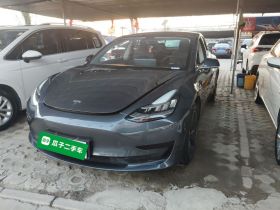 特斯拉 Model 3 2019款 标准续航后驱升级版