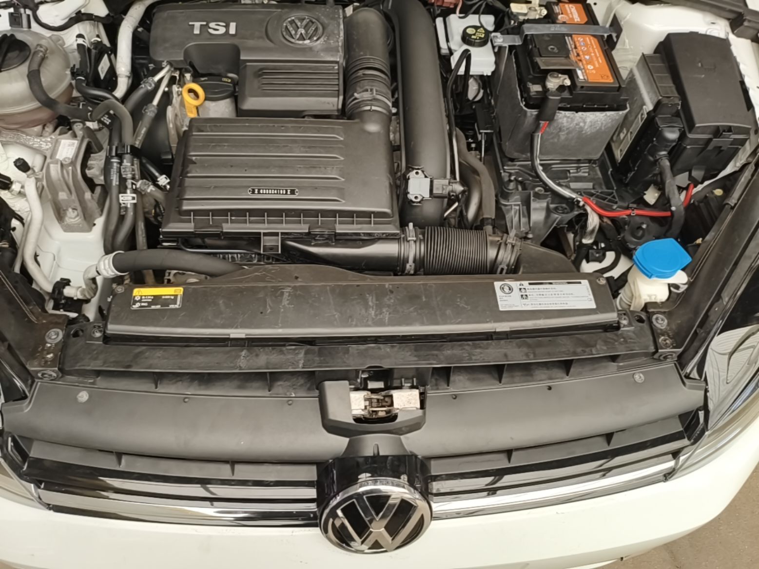 Volkswagen Golf (Domestic)