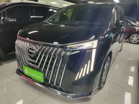 广汽传祺 传祺M8 2024款 大师系列 400T 尊贵版