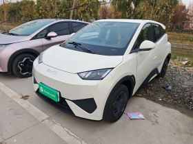 比亚迪 海鸥 2025款 305km 活力版