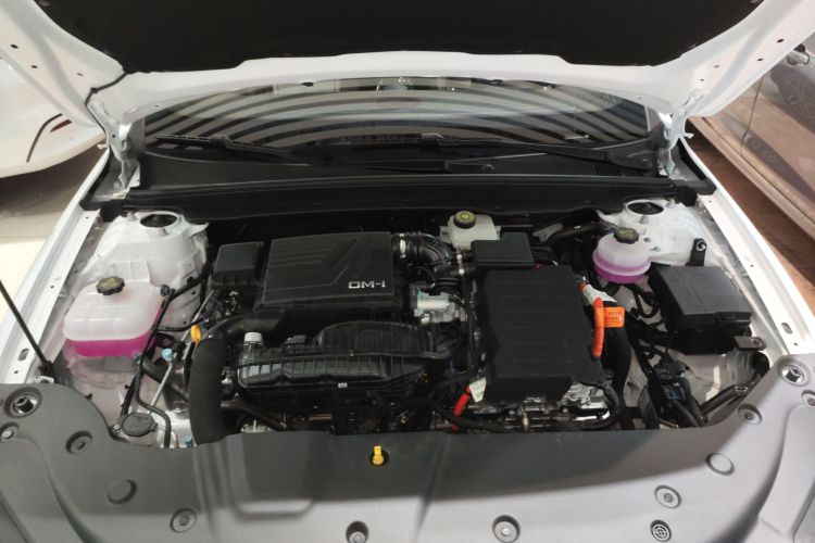 比亚迪 秦PLUS 2024款 荣耀版 DM-i 120KM领先型机舱底盘24