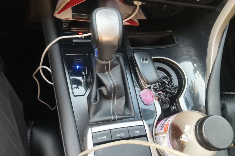 雷克萨斯RX 2020款 300 两驱精英版 国VI中控内饰18
