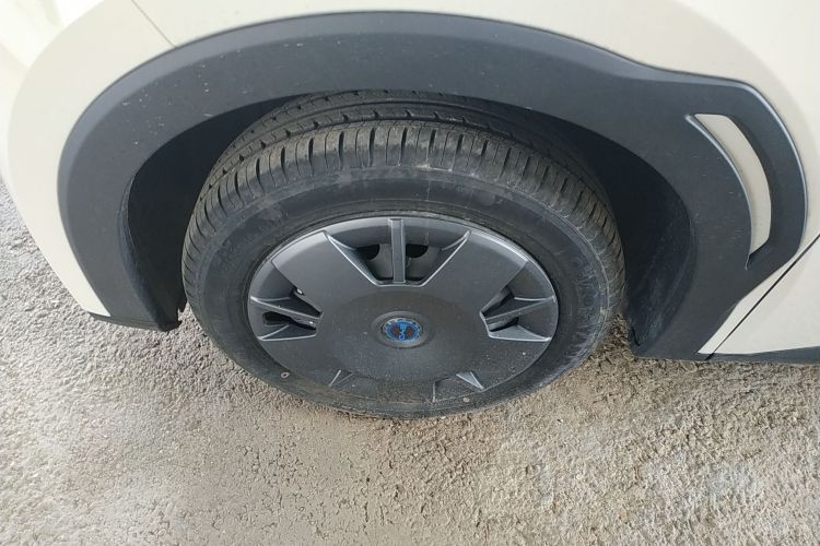 比亚迪 海鸥 2025款 305km 活力版车身外观6007