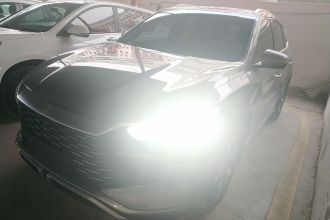 比亚迪 宋Pro新能源 2023款 冠军版 DM-i 110KM超越型