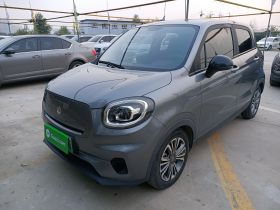 零跑汽车 零跑T03 2021款 400轻享版 磷酸铁锂