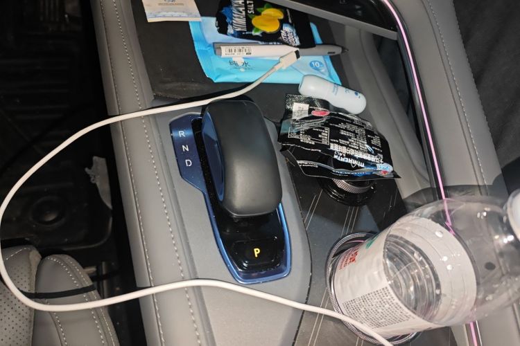 极氪001 2024款 WE版 95kWh 四驱中控内饰18