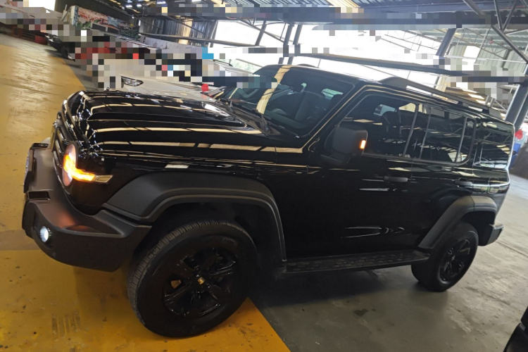 坦克300 2024款 2.0T 挑战者车身外观4