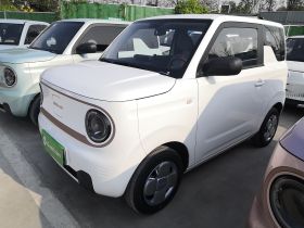 吉利银河 2024款 熊猫mini 200km 耐力熊