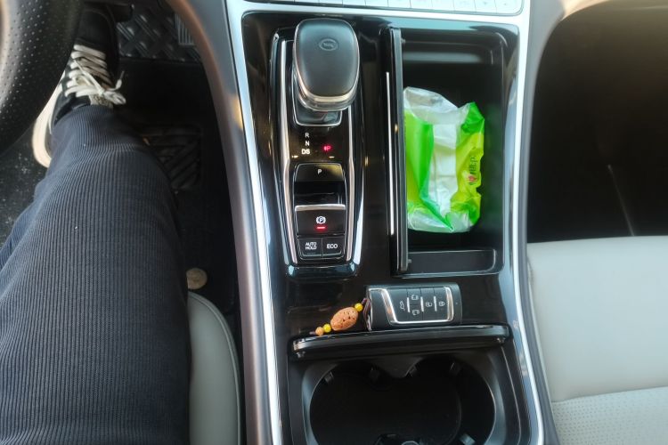 广汽传祺 传祺M8 2021款 大师系列 390T 尊贵版中控内饰18