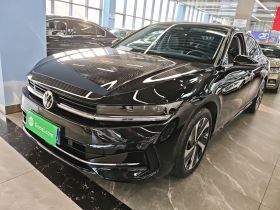 大众 迈腾 2024款  300TSI DSG尊享版显眼包