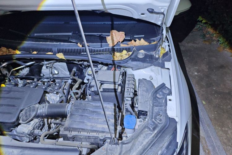 大众 朗逸 2023款 新锐 1.5L 自动新逸版局部细节9007