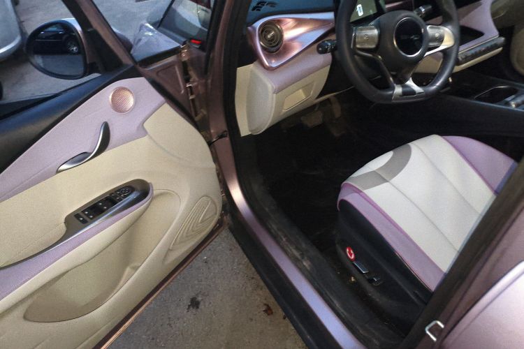 比亚迪 海豚 2021款 405km 时尚版中控内饰7003