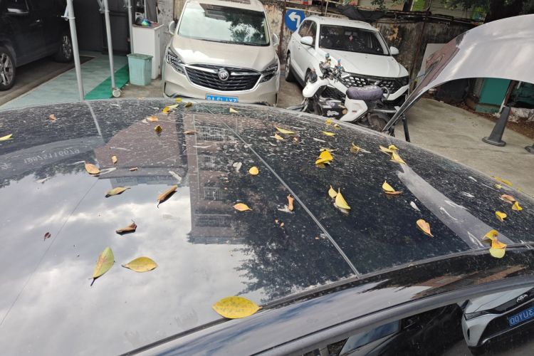 特斯拉 Model 3 2021款 标准续航后驱升级版 3D6局部细节57