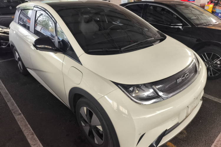 比亚迪 海豚 2023款 420km 时尚版车身外观6002