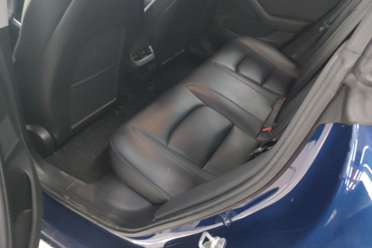特斯拉 Model 3(进口) 2019款 长续航全轮驱动版中控内饰7004