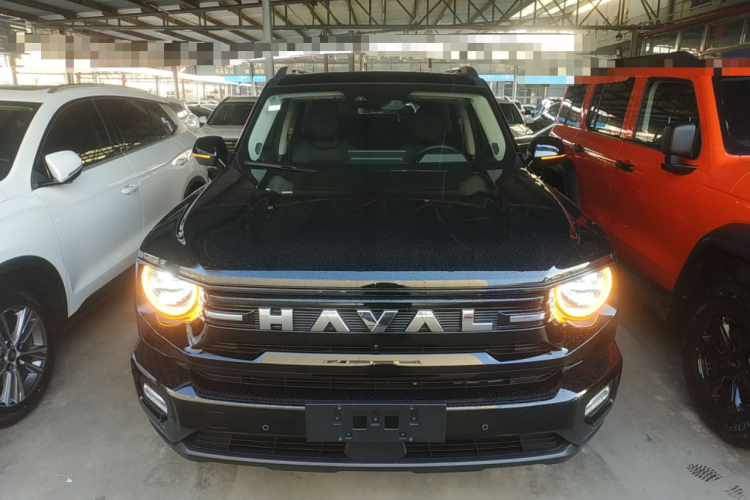 哈弗大狗 PLUS 2026款 2.0T 四驱潮野版车身外观6001