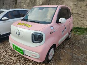 奔腾小马 2024款 170km 活力马