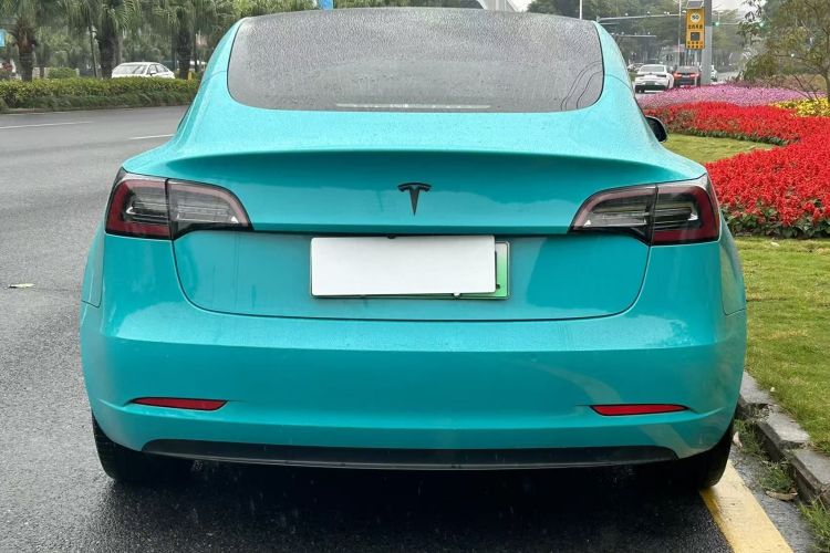 特斯拉 Model 3(进口) 2019款 长续航后驱版车身外观6