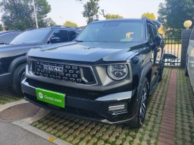 哈弗大狗 PLUS 2023款 2.0T 四驱潮野Plus