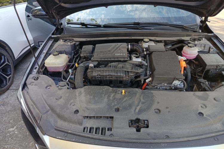 比亚迪 秦PLUS 2023款 冠军版 DM-i 55KM领先型局部细节9006