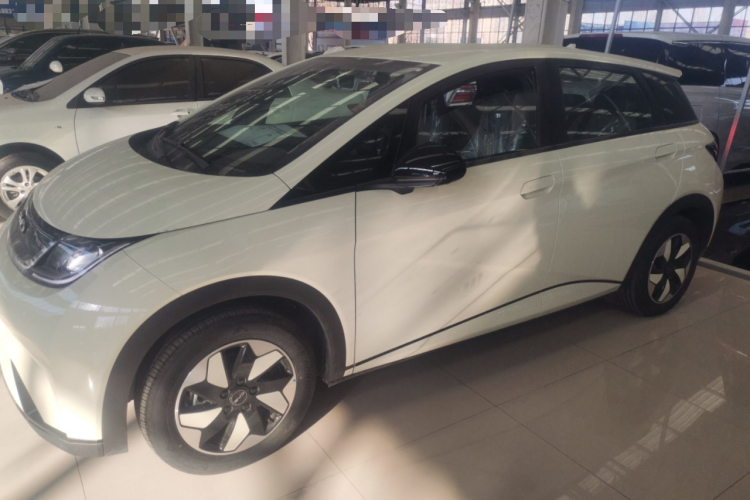 比亚迪 海豚 2025款 420km 自由版车身外观4