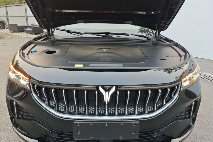 岚图汽车 岚图FREE 2021款 两驱标准纯电城市版机舱底盘24