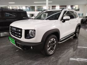 哈弗大狗 2021款 2.0T DCT四驱中华田园犬版