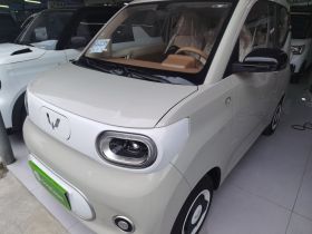 五菱汽车 宏光MINIEV 2024款 第三代 215km 青春版