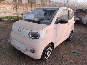 五菱汽车 宏光MINIEV 2024款 第三代 215km 青春版