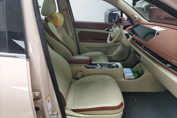 欧拉好猫 2021款 400km标准续航 维纳斯版 三元锂局部细节41