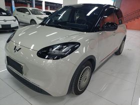 五菱汽车 五菱缤果 2023款 333km 灵犀互联+款