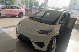 比亚迪 海鸥 2025款 305km 活力版