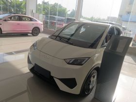 比亚迪 海鸥 2025款 305km 活力版