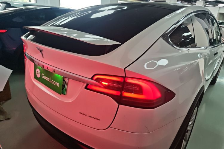 特斯拉 Model X 2019款 长续航版车身外观6