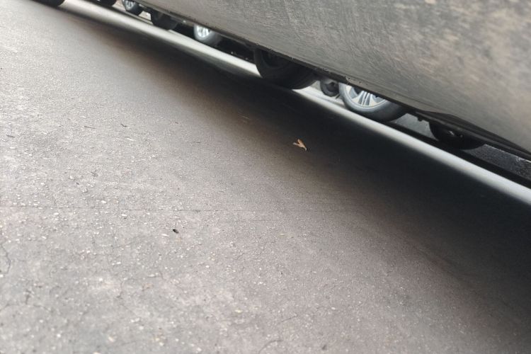 特斯拉 Model Y 2024款 后轮驱动版局部细节9003