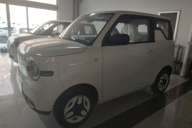 吉利银河 熊猫 2025款 210km 元气熊车身外观4