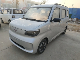 五菱汽车 五菱之光新能源 2025款 305km 进取型